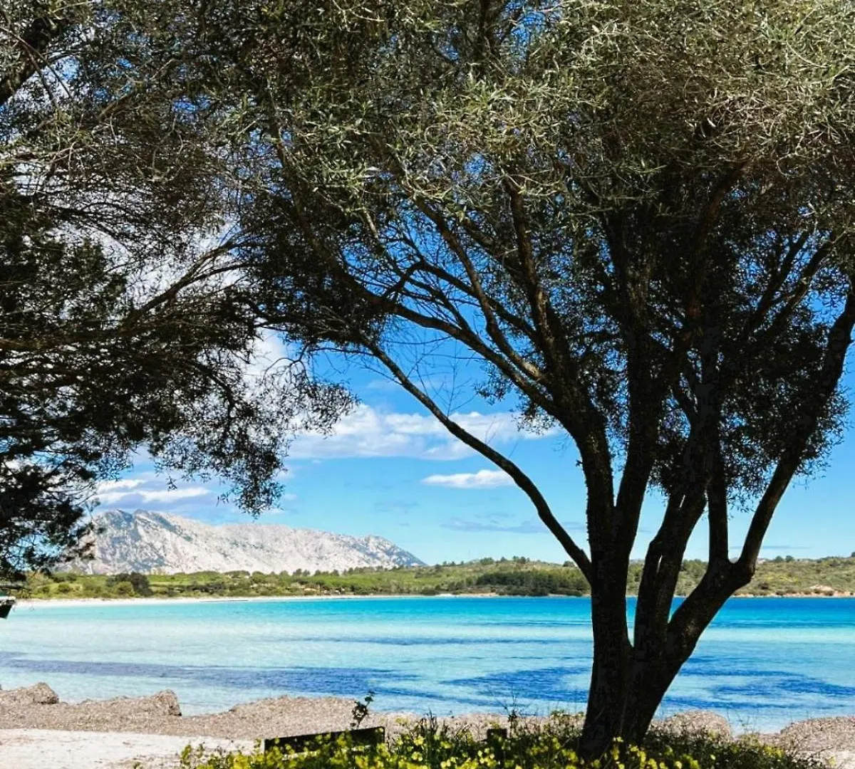 Lägenhet Capo Coda Cavallo, Vacanze Nella Casa Il Maestrale Italien